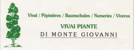 Vivai Di Monte Giovanni 